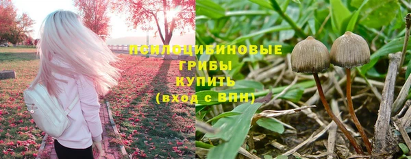 дурь Алексин