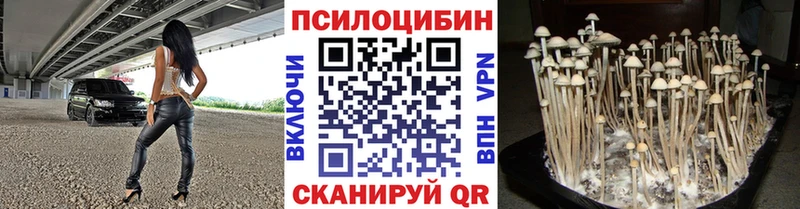 Галлюциногенные грибы Psilocybe  Гуково 